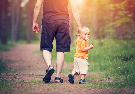 Father and son walking in the forest on summer day. Little child holding hand of a manの写真素材