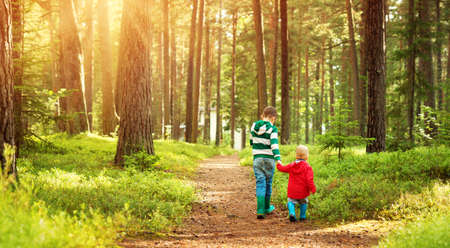 Children walking in the forestの写真素材