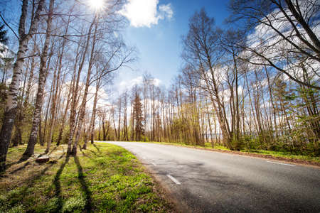 Road panorama on sunny spring eveningの写真素材