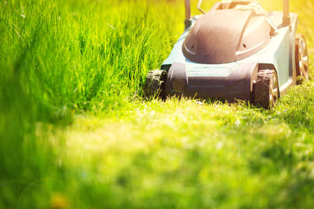 Grass cutter mowing the lawn in summerの写真素材