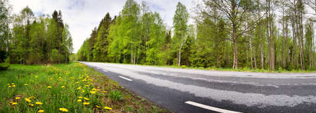 Asphalt road in beautiful spring day