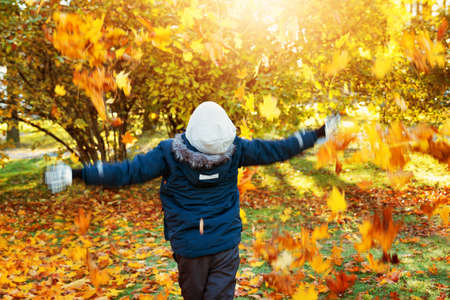 cute child running on the lawn covered with yellow leavesの写真素材