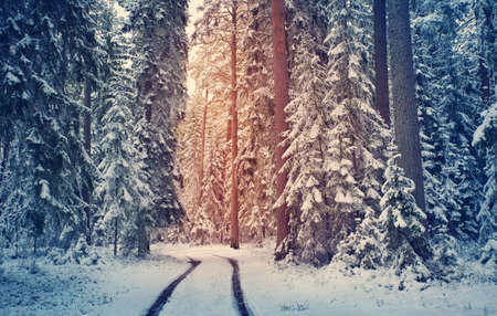 road in snowy winter on beautiful sunny dayの写真素材