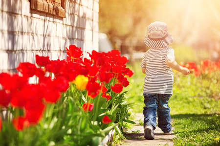 Little child walking near tulips on the flower bed in beautiful spring day