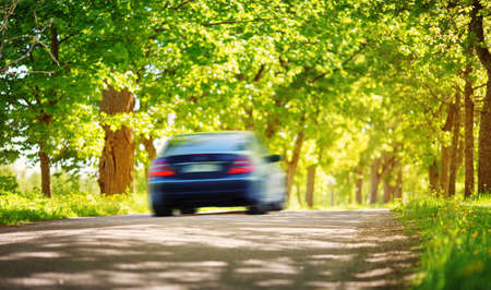 Car on asphalt road in summerの写真素材