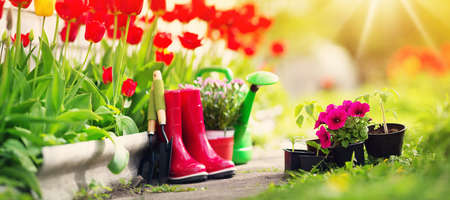 flower and vegetable seedlings growing in the garden