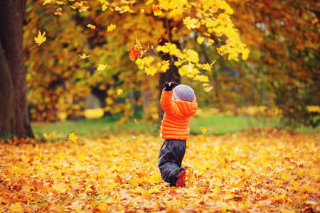 Child standing in park in beautiful autumnal day. Boy playing outdoors yellow maple leaves falling downの写真素材