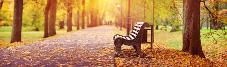 Bench in autumn with lots of sunshineの写真素材