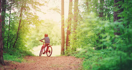 child on a bicycle in the forest in early morningの写真素材