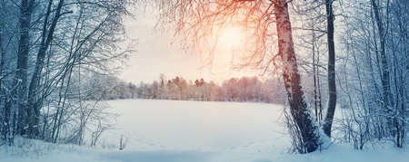 trees covered with snow near lakeの写真素材