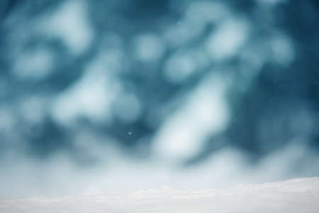 Beautiful tree in winter landscape in late eveningの写真素材
