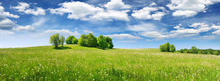 Green field panorama and blue sky with white cloudsの写真素材