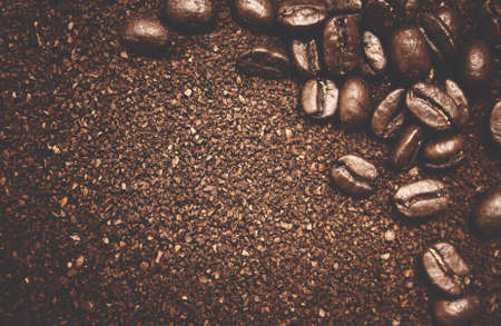 Roasted coffee beands on powder coffee backgroundの写真素材