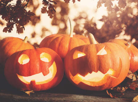 Ripe pumpkins for Halloween with spooky facesの写真素材
