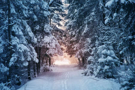road in snowy winter on beautiful sunny dayの写真素材