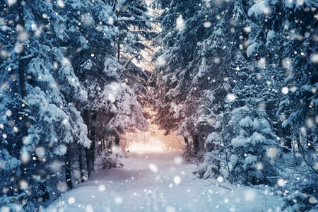 road in snowy winter on beautiful sunny day