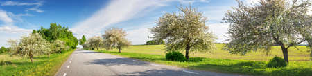 Road panorama on sunny spring eveningの写真素材