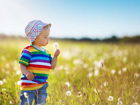 Baby boy standing in grass on the fieald with dandelionsの写真素材