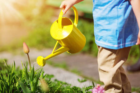 Little child walking near tulips on the flower bed in beautiful spring dayの写真素材
