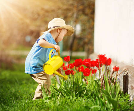 Little child walking near tulips on the flower bed in beautiful spring dayの写真素材