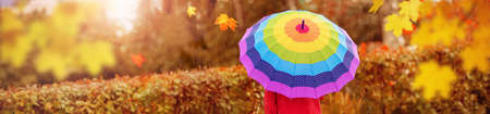 Boy holding colourful umbrella under rain in autumnの写真素材