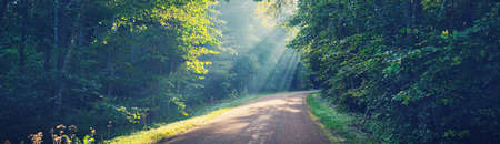 Asphalt road on early autumnal morning