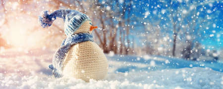 Branches covered with snow on blue sky backgroundの写真素材