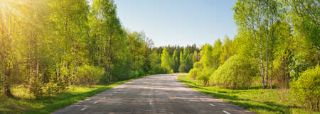 asphalt road panorama in countryside on sunny summer dayの写真素材