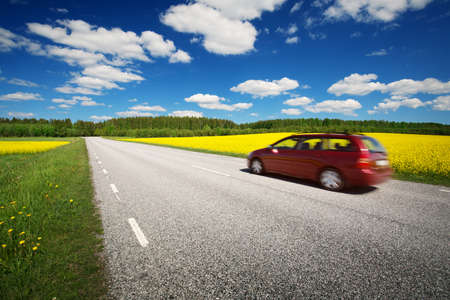 Road panorama on sunny summer day in countrysideの写真素材