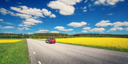 Road panorama on sunny summer day in countrysideの写真素材