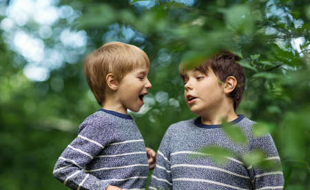 Two lovely brothers sitting in park with flowers huggingの写真素材