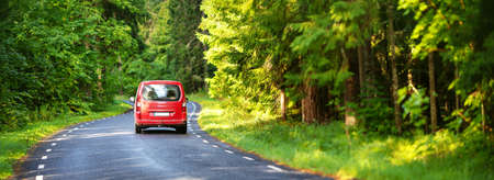 red car on asphalt road in summerの写真素材