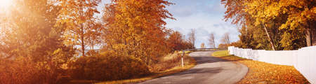 old asphalt road with beautiful trees on the sides in autumn