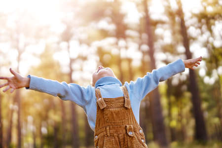 Happy baby boy standing in the forest at sunny summer eveningの写真素材