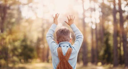 Happy baby boy standing in the forest at sunny summer eveningの写真素材