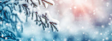 Fir-tree covered with snow in the winter fairy forest in snowfallの写真素材