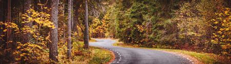 Winter road with snow and the trees all around. Nobody on the highway. Tire trails on the snowy driveway.の写真素材