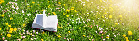 Open book in the grass on the field on sunny dayの写真素材