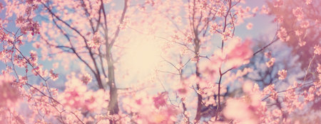 Blurred sakura tree twigs on blue background.の写真素材