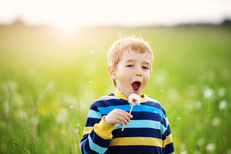 Happy boy standing in grass on the field with dandelionsの写真素材