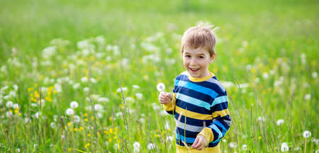 Happy smiling boy standing on the beautiful green field with dandelionsの写真素材