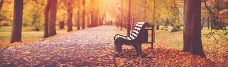 Bench in autumn with lots of sunshineの写真素材