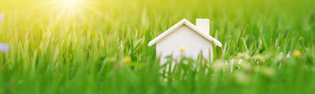 Wooden model of the house standing on the meadow with green grass.の写真素材