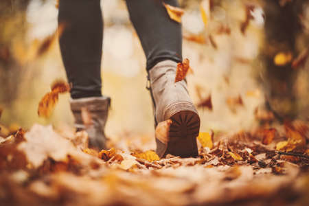 Woman walking alone in the autumnal parkの写真素材