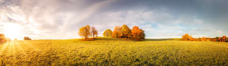 Panoramic view of the autumnal field on the sunny morning.の写真素材