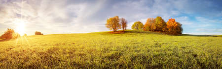 Panoramic view of the autumnal field on the sunny morning.の写真素材