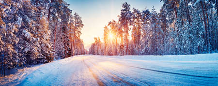 Panoramic view of the beautiful rural road in winterの写真素材