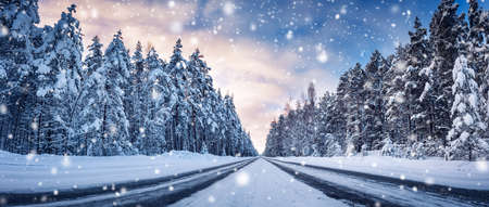 Panoramic view of the beautiful country road in winter in snowfall.の写真素材