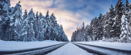 Panoramic view of the beautiful country road in winterの写真素材