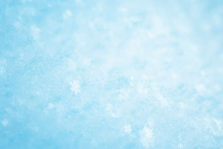 Snowy background with closeup view of the crystal snowflakesの写真素材